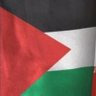 🇵🇸Aryan's profile picture