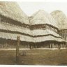 Opama Eguono⛰️ profil fotoğrafı