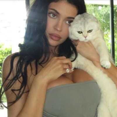 tay's profile picture