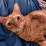9ette profil fotoğrafı