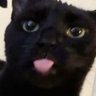 Sizzlewizzle's profile picture