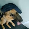 matttttu. profil fotoğrafı