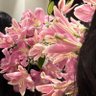Loy⚖️ 的头像