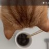 kuma 的头像