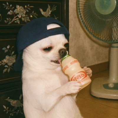 Sabo's profile picture