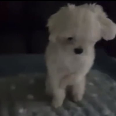 ㅌㄱㅁ's profile picture