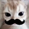 Karina Machain's profile picture