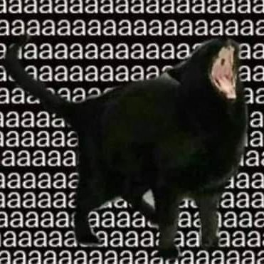 encrypted_past's profile picture