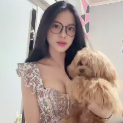 advenrturer's profile picture
