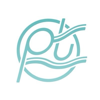 primarytides's profile picture