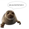 HarborSealwithagun 的头像