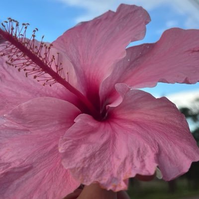 putinhaa__0's profile picture