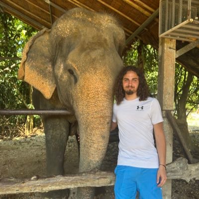 Vaza 🇮🇹's profile picture