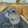 lala's profile picture