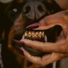 shady's profile picture