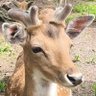 . profil fotoğrafı