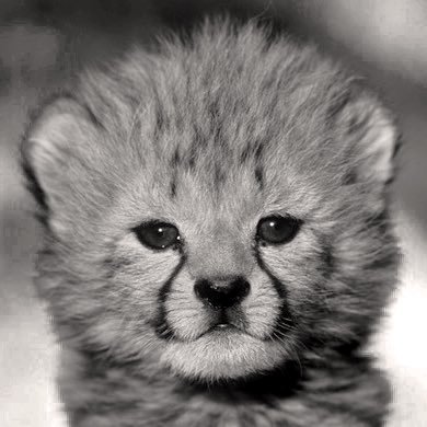 Solittttttt's profile picture