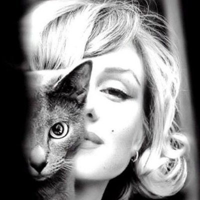 KrysiaDrohojo's profile picture