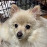 まつじん's profile picture