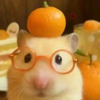 仓鼠鱼's profile picture