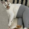 lili allne profil fotoğrafı