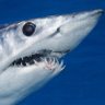 Фото профиля Akram Al-Harbi