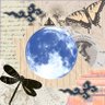Фото профиля 来栖ナツキ