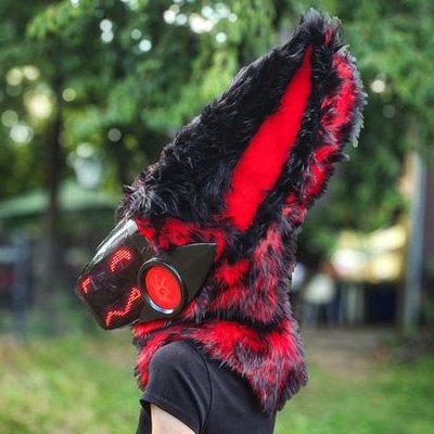Zen🐾✨'s profile picture