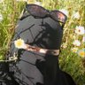 Profilbild von AlimaShiza