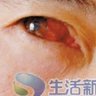 吴铸城 | 调查记者 profil fotoğrafı