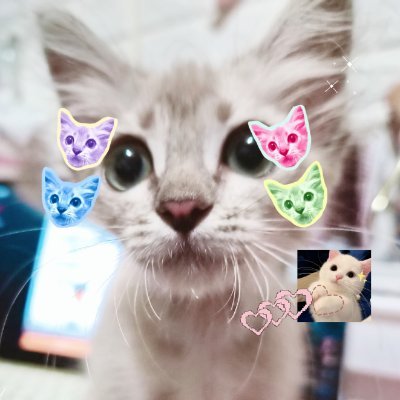 nacha_iii's profile picture