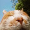 Profilbild von Zengs