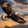 Dan Holland's profile picture
