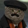 ბაზიძე🎄✨️🐧 profil fotoğrafı