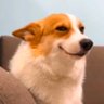 Medieval 777's profile picture
