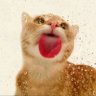 Profilbild von MARIO
