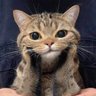 true chiller profil fotoğrafı