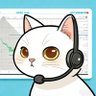 懂币猫云朵 的头像