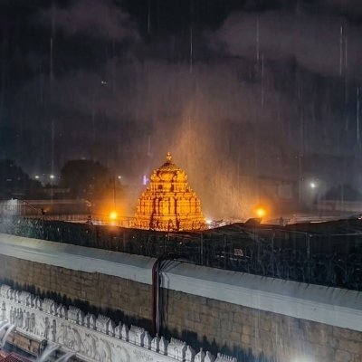 VCankam's profile picture