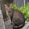 くんさん profil fotoğrafı
