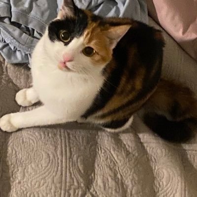 Rita00637's profile picture