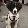 tiago.py's profile picture