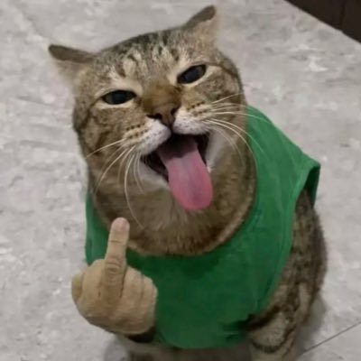 lele's profile picture