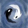nothi.'s profile picture