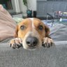 Фото профиля 🇺🇸 BannedTara 🇺🇸