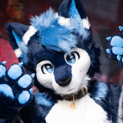 VikoHusky 🌸 🔜 EF30, NFC's profile picture