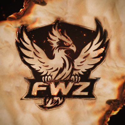 FWZteam's profile picture