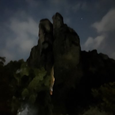 BWxiangyu's profile picture