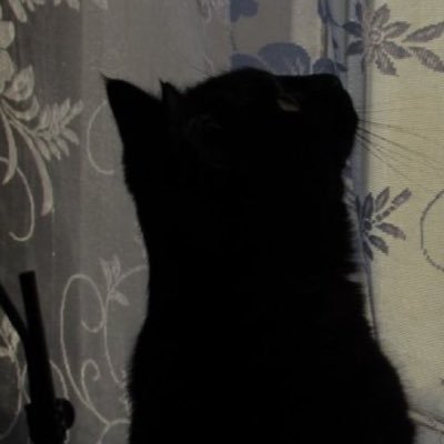skywithme_'s profile picture