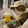 Profilbild von Cheevy